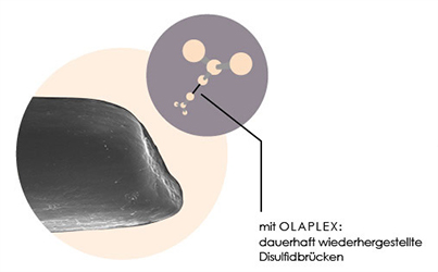 Reparierte Haarsträhne mit Olaplex